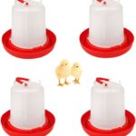 Chicken Water Can 3Lt