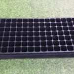 Seedling Tray