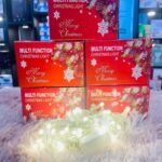 Multi Function Christmas Light