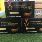 Electric bike charger(Five Star Glory)