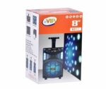 BVIP 8" Rechargeable Speaker Box (Model 831)