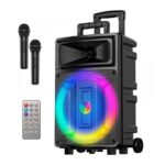 Sing-e ZQS-12131 Super Bass Speaker