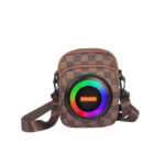 CH-M801 Portable Bluetooth Speaker