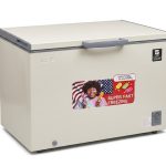 King Star Freezer 9cf