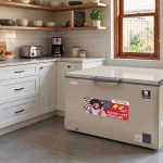 King Star Freezer 7cf