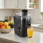 Hamilton Beach Juice Extractor