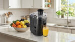 Hamilton Beach Juice Extractor