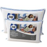 Queen Sealy Pillow