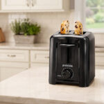 Proctor Silex 2-Slice Toaster (Model #22624G)