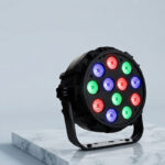 12 LED Par Light