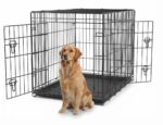 Wire Dog Crate