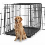 Wire Dog Crate