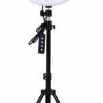 12 Ince Ring Light with Tripod Stand